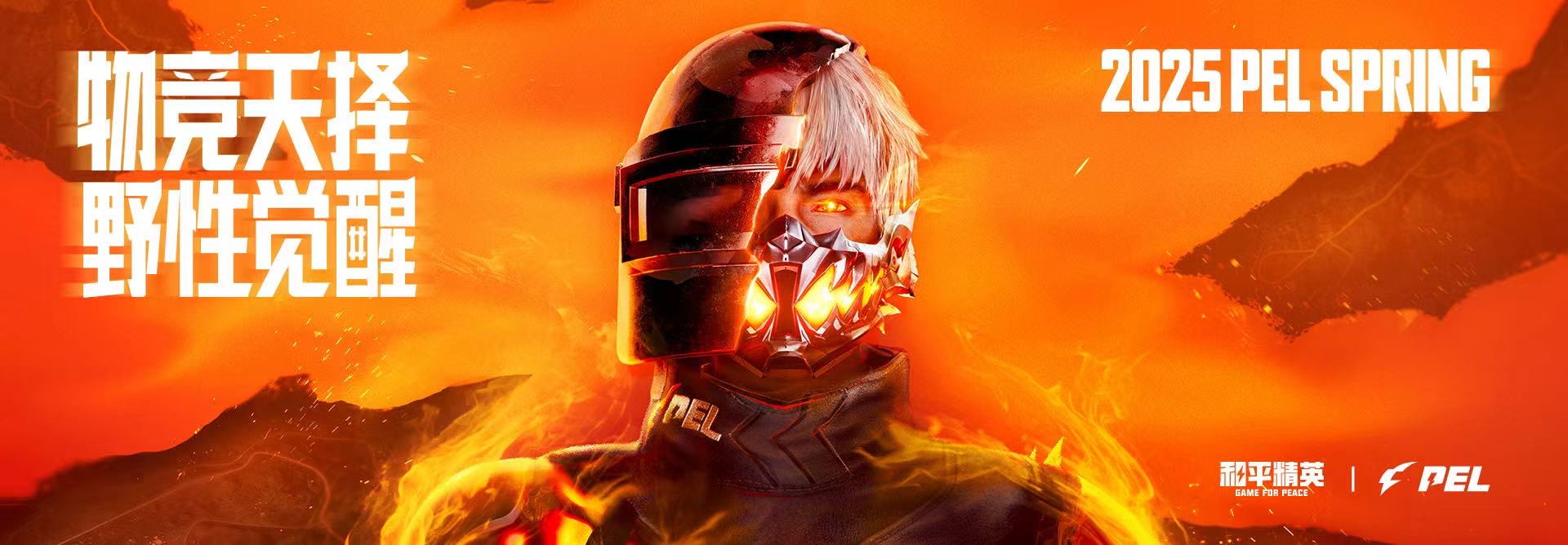 和平精英【雪儿内核】辅助